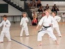 Karate-Prüfungslehrgang der DTSKF